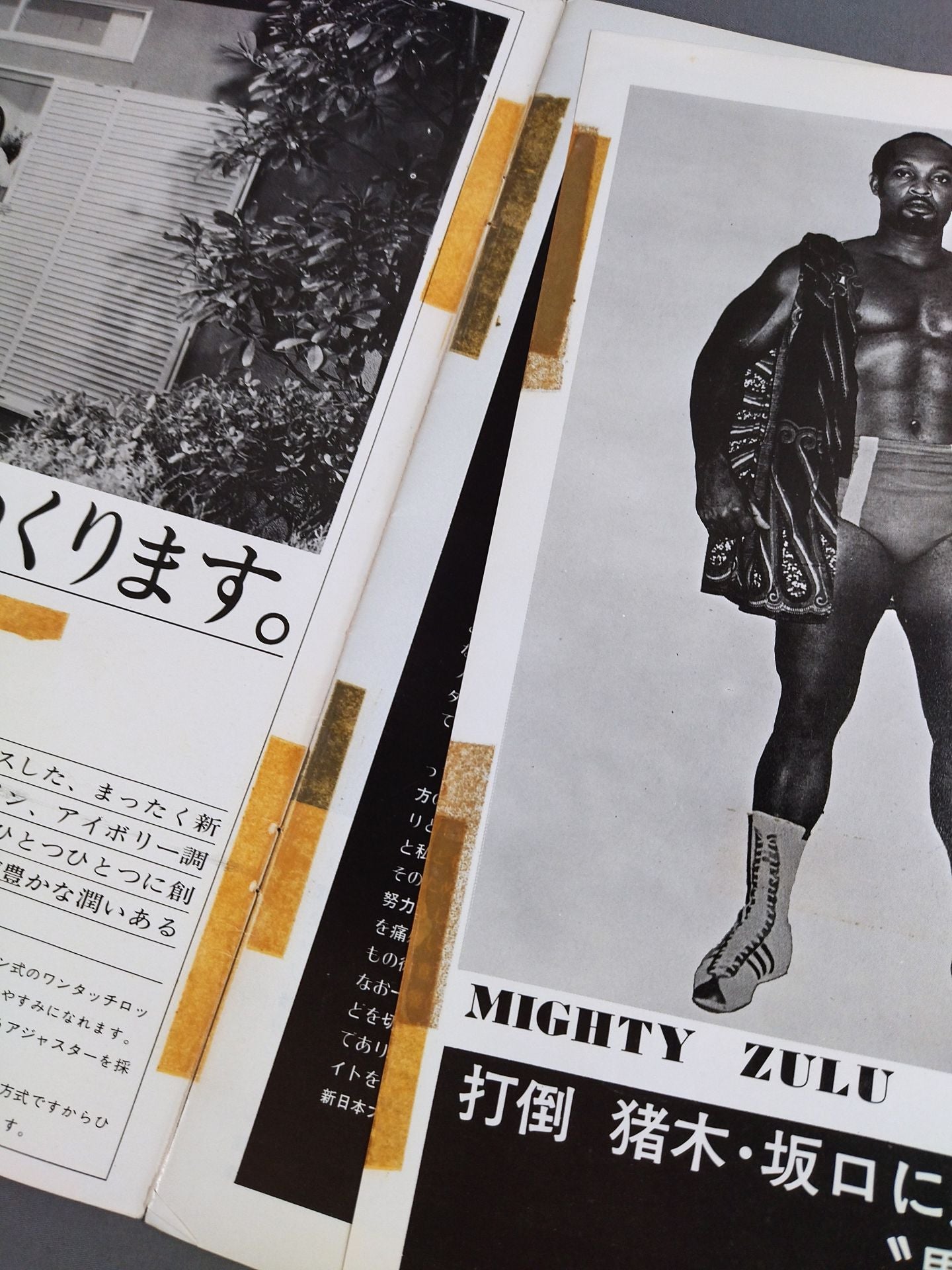 ★ Golden Duo NWA North American Tag Team Match ★ 75 Big Fight Series