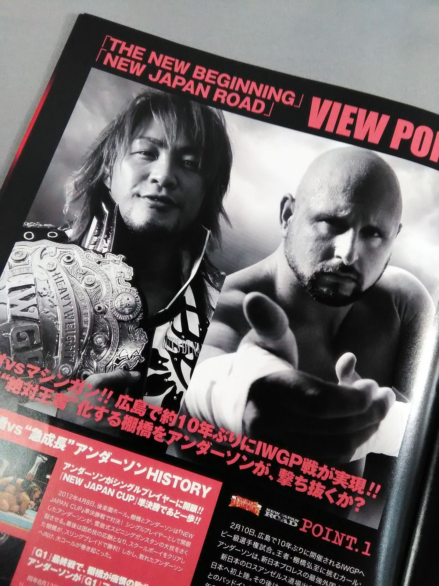 NJPW OFFICIAL MAGAZINE 2013 Vol.1