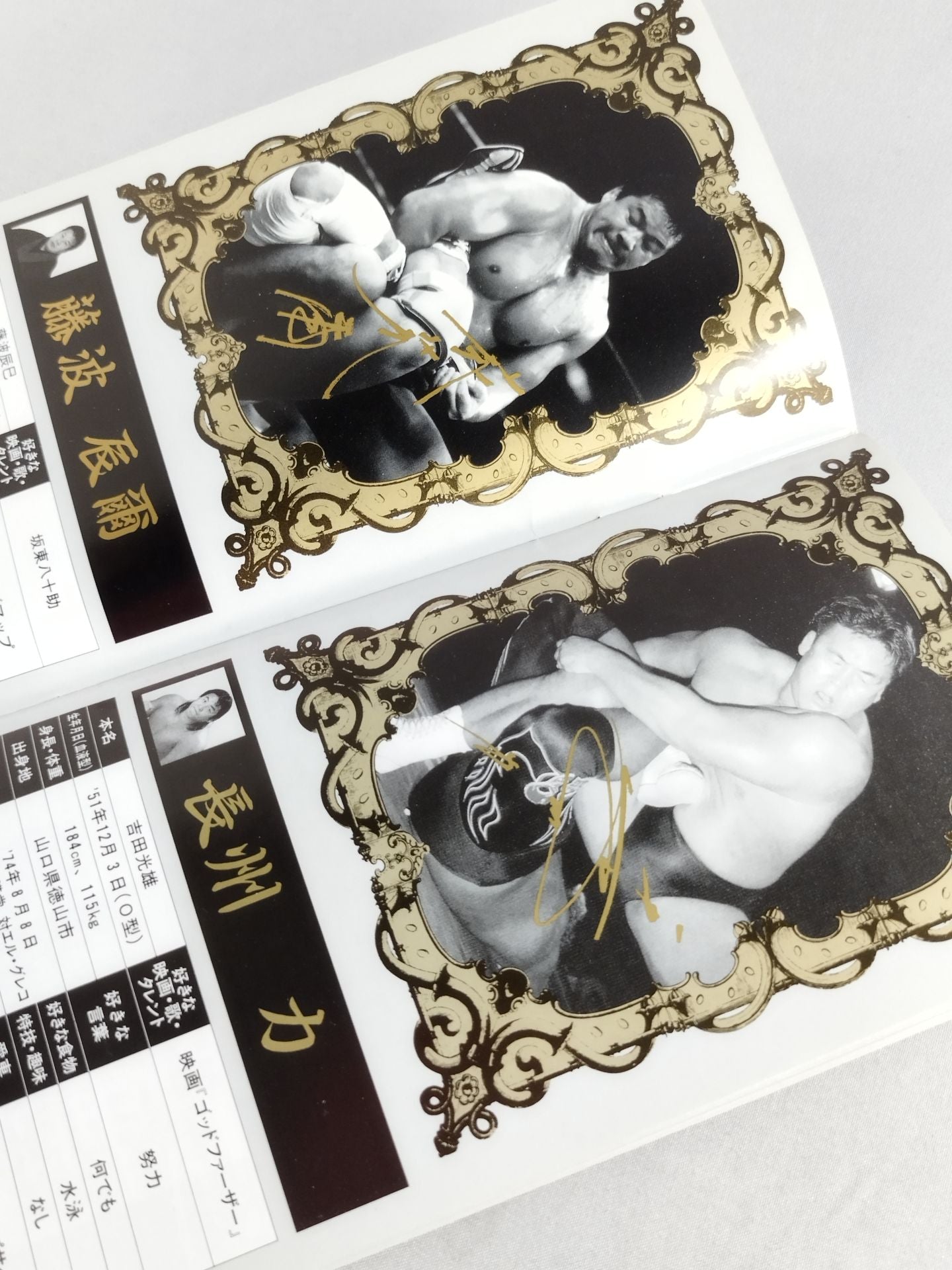 Soul Warrior Magazine New Japan Pro Wrestling  Maru Secret Fighters  Directory