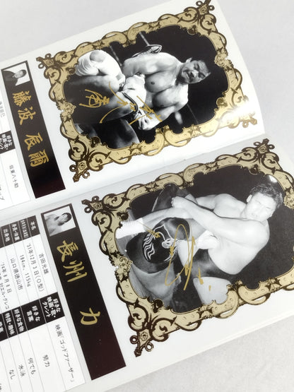 Soul Warrior Magazine New Japan Pro Wrestling  Maru Secret Fighters  Directory