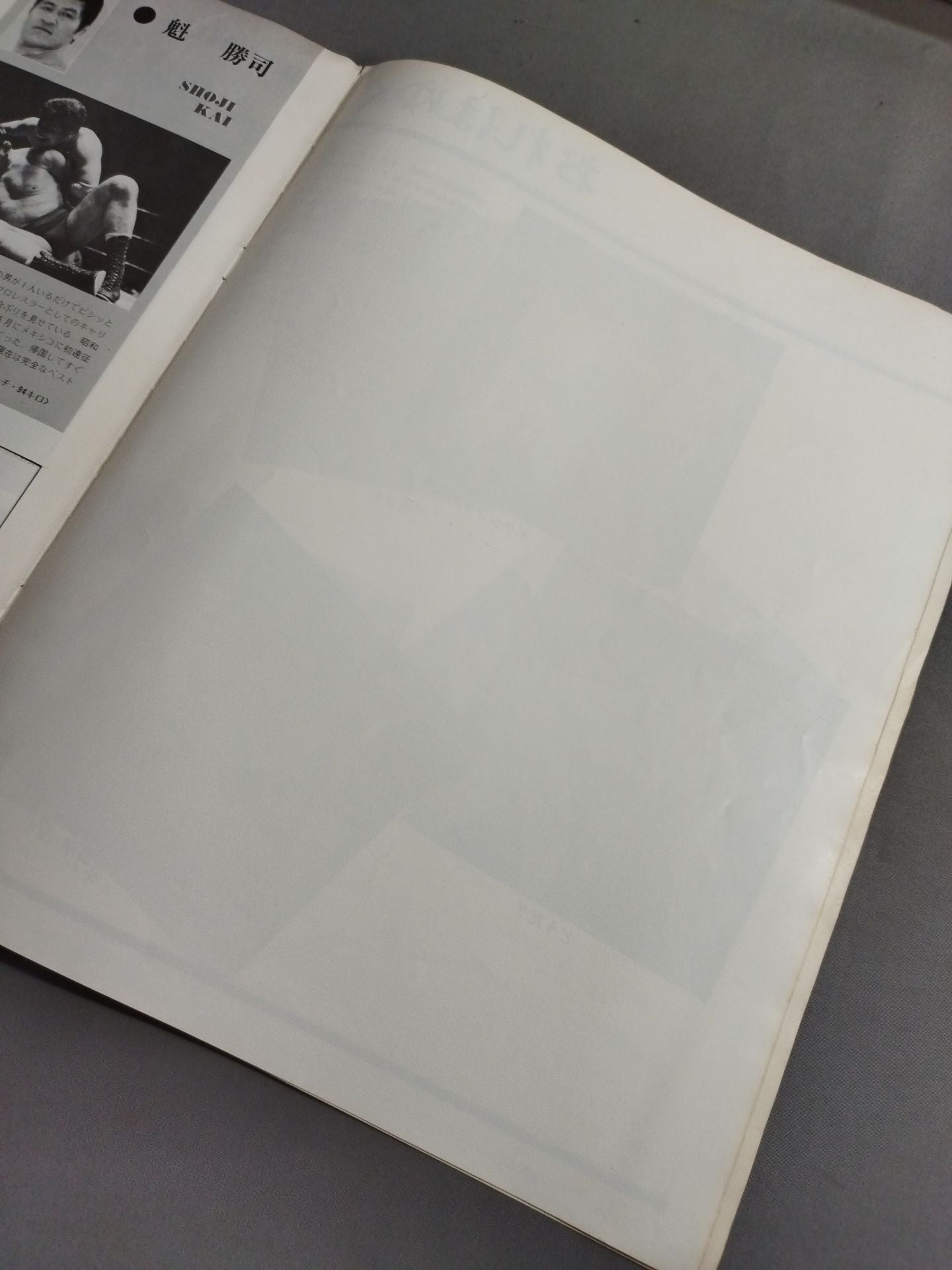 76第3回ワールド大リーグ戦