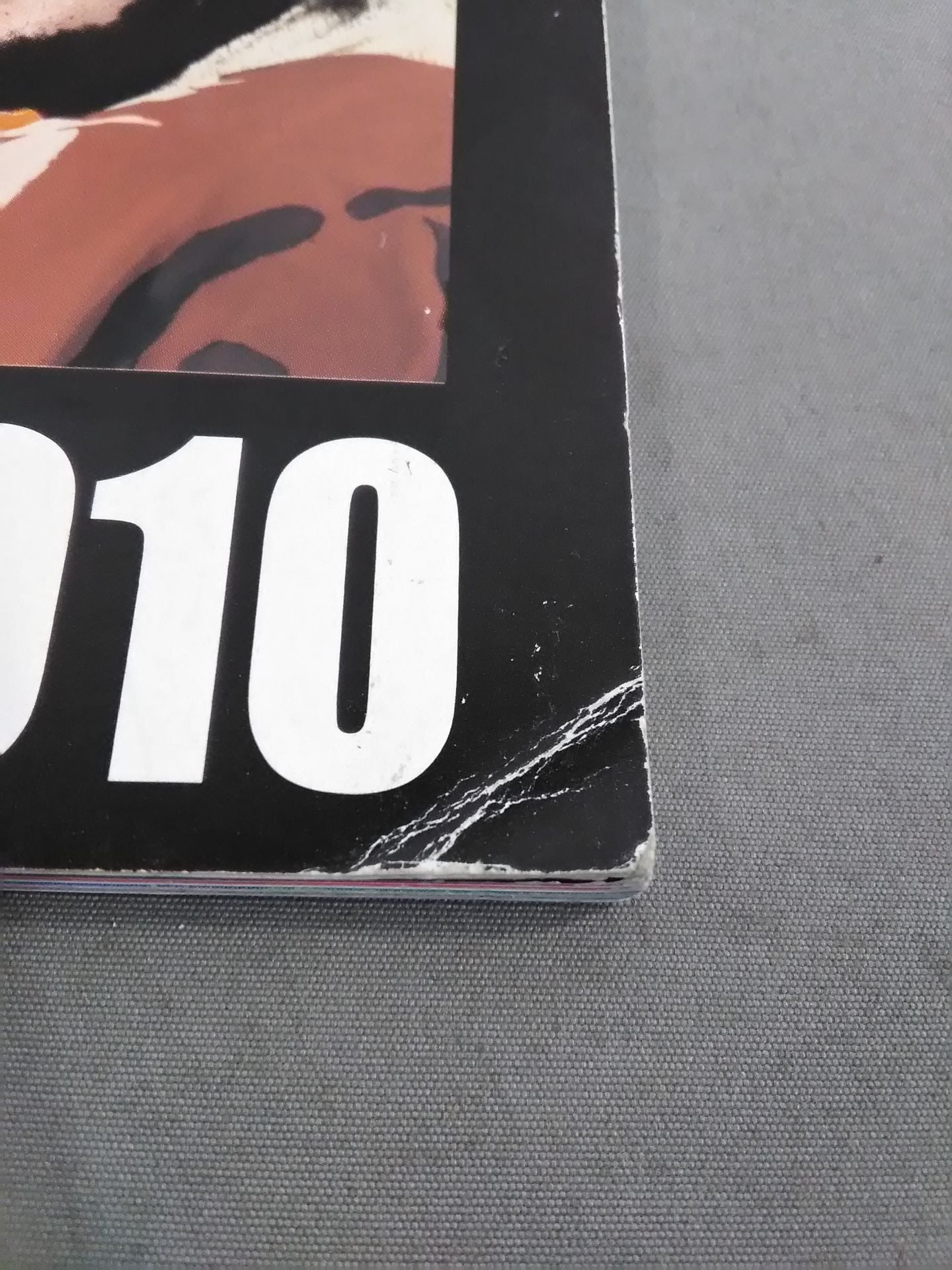 NJPW OFFICIAL MAGAZINE 2010 Vol.5