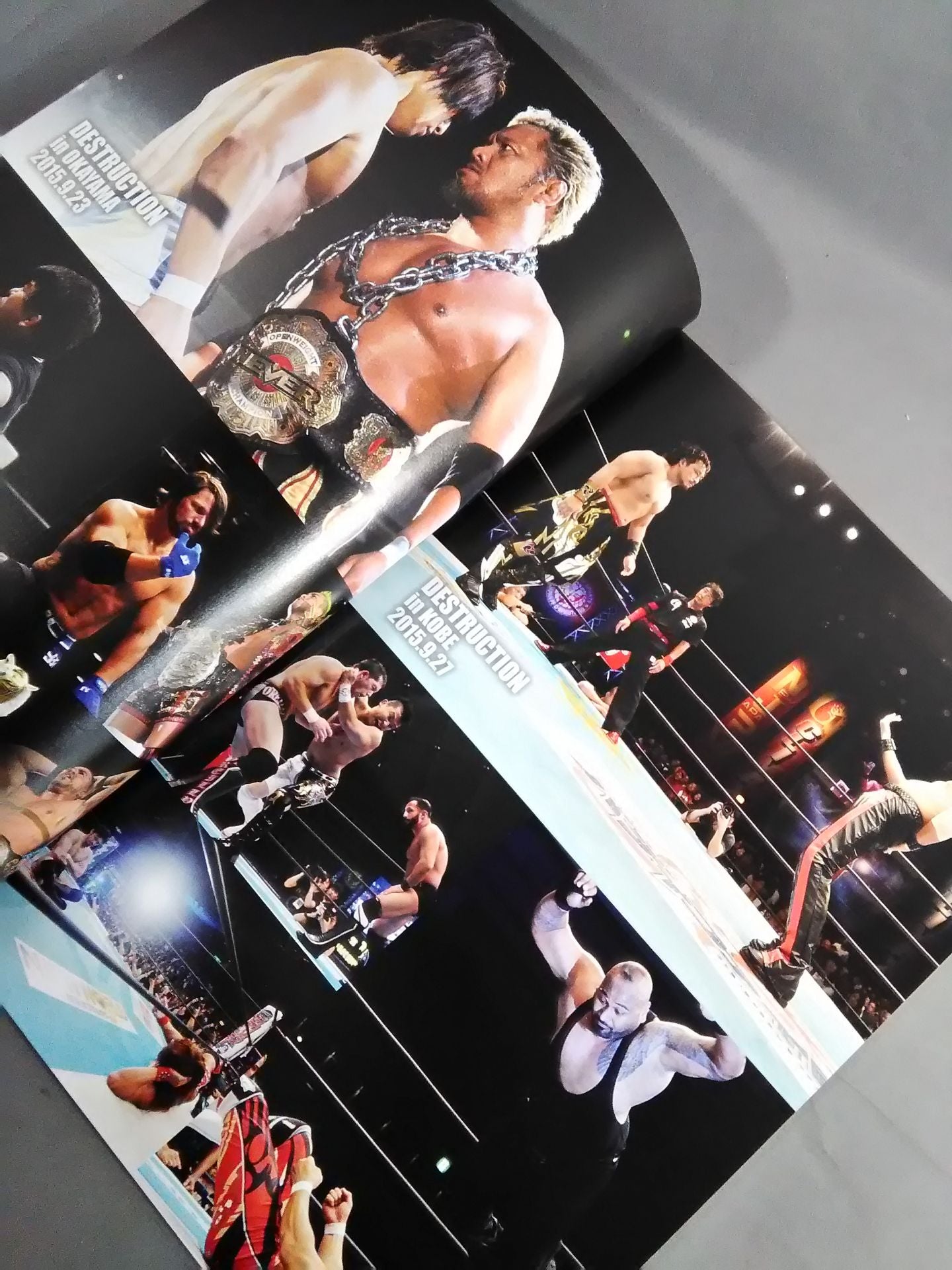 NJPW OFFICIAL MAGAZINE 2015 Vol.6