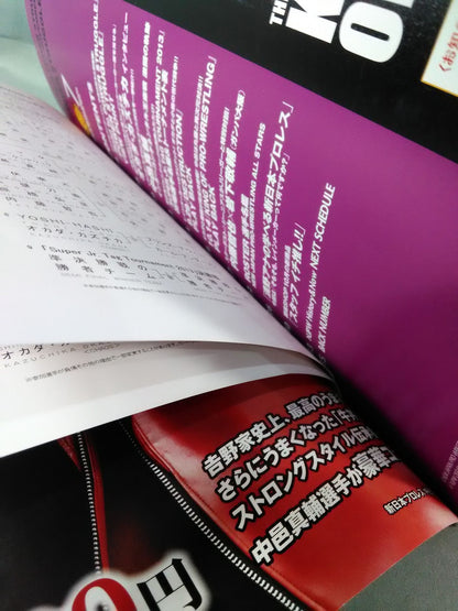 NJPW OFFICIAL MAGAZINE 2013 Vol.7