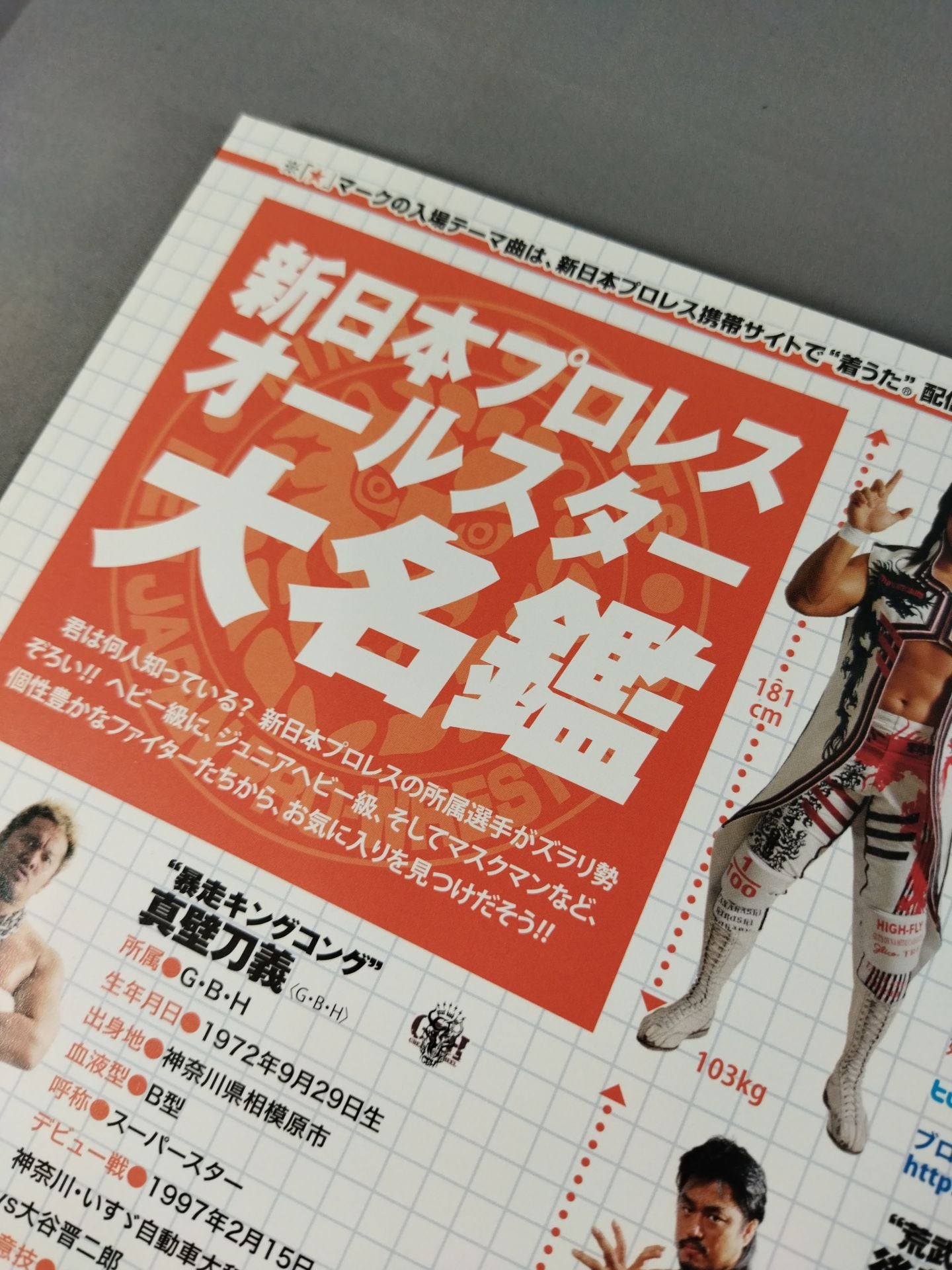 NEW JAPAN LIVE