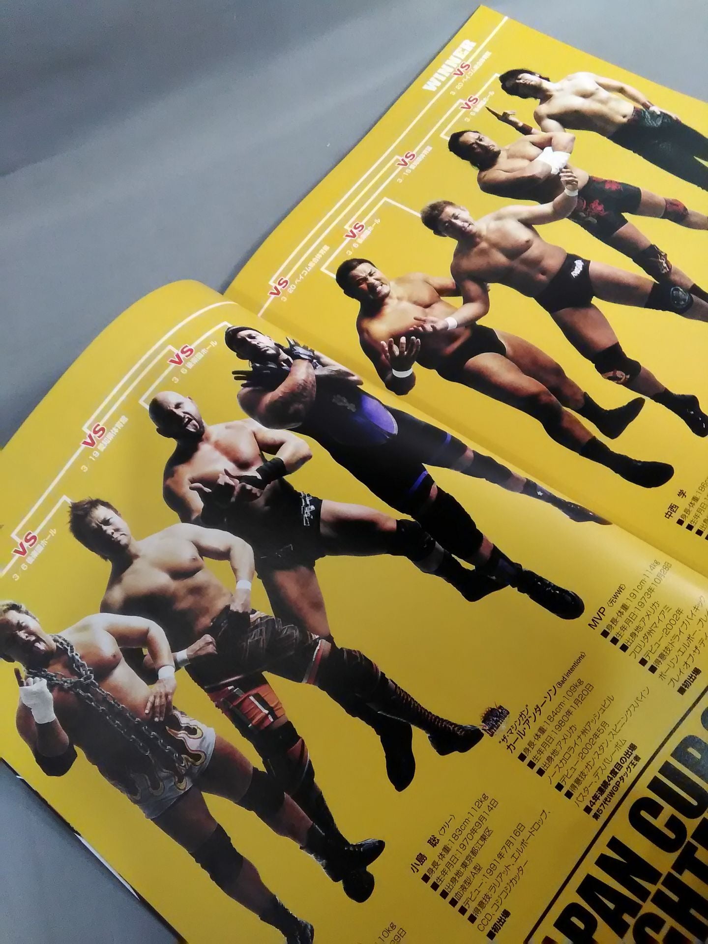 NJPW OFFICIAL MAGAZINE 2011 Vol.2