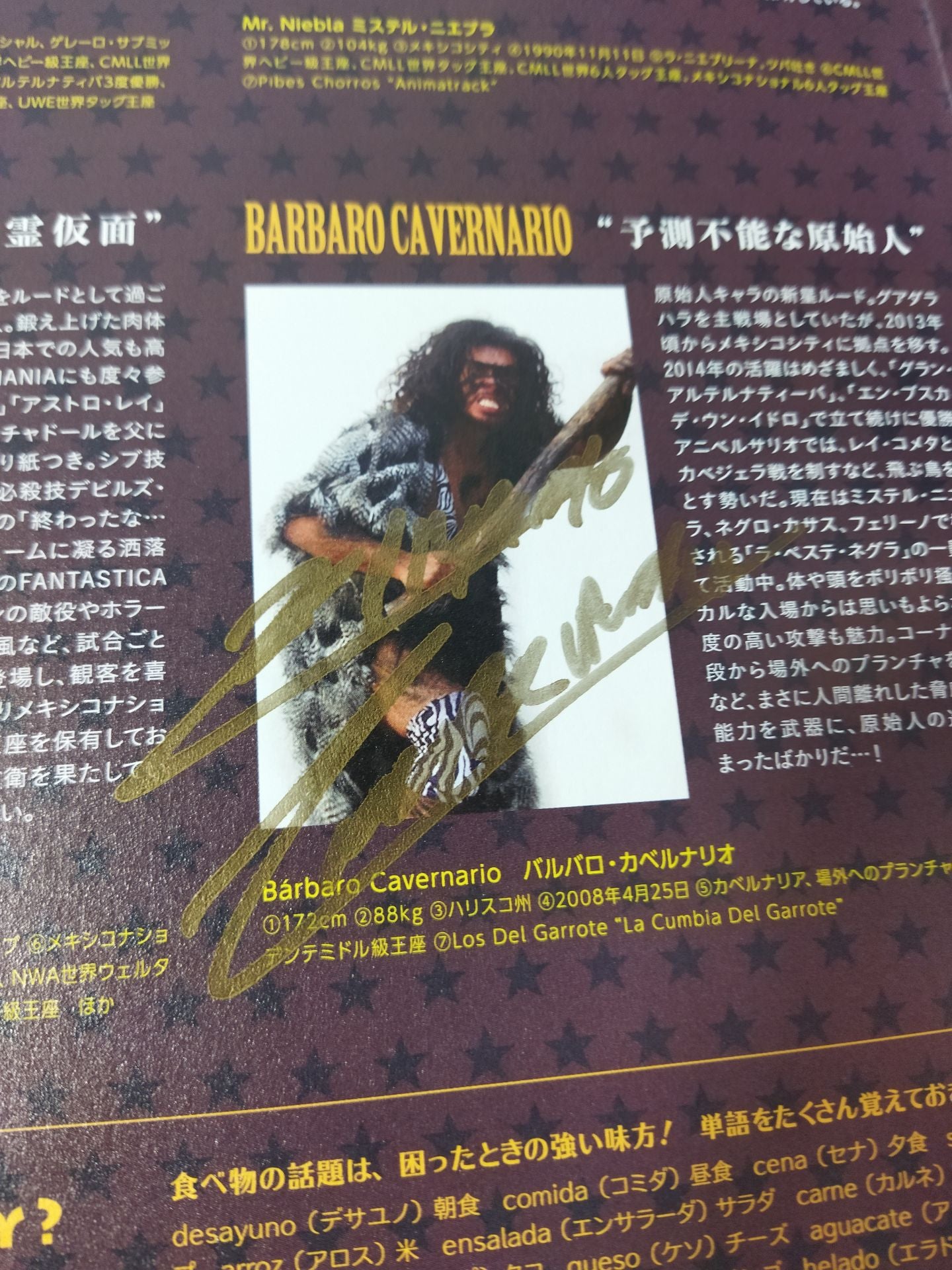 [2 fighters hand signed autograph 】FANTASTICA Mania 2015 / FANTASTICAMANIA 2015