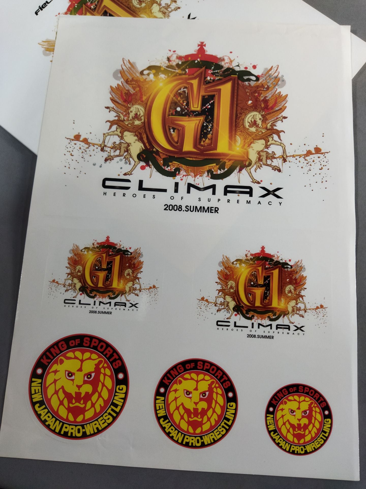 G1 CLIMAX 2008 / G1 CLIMAX 18