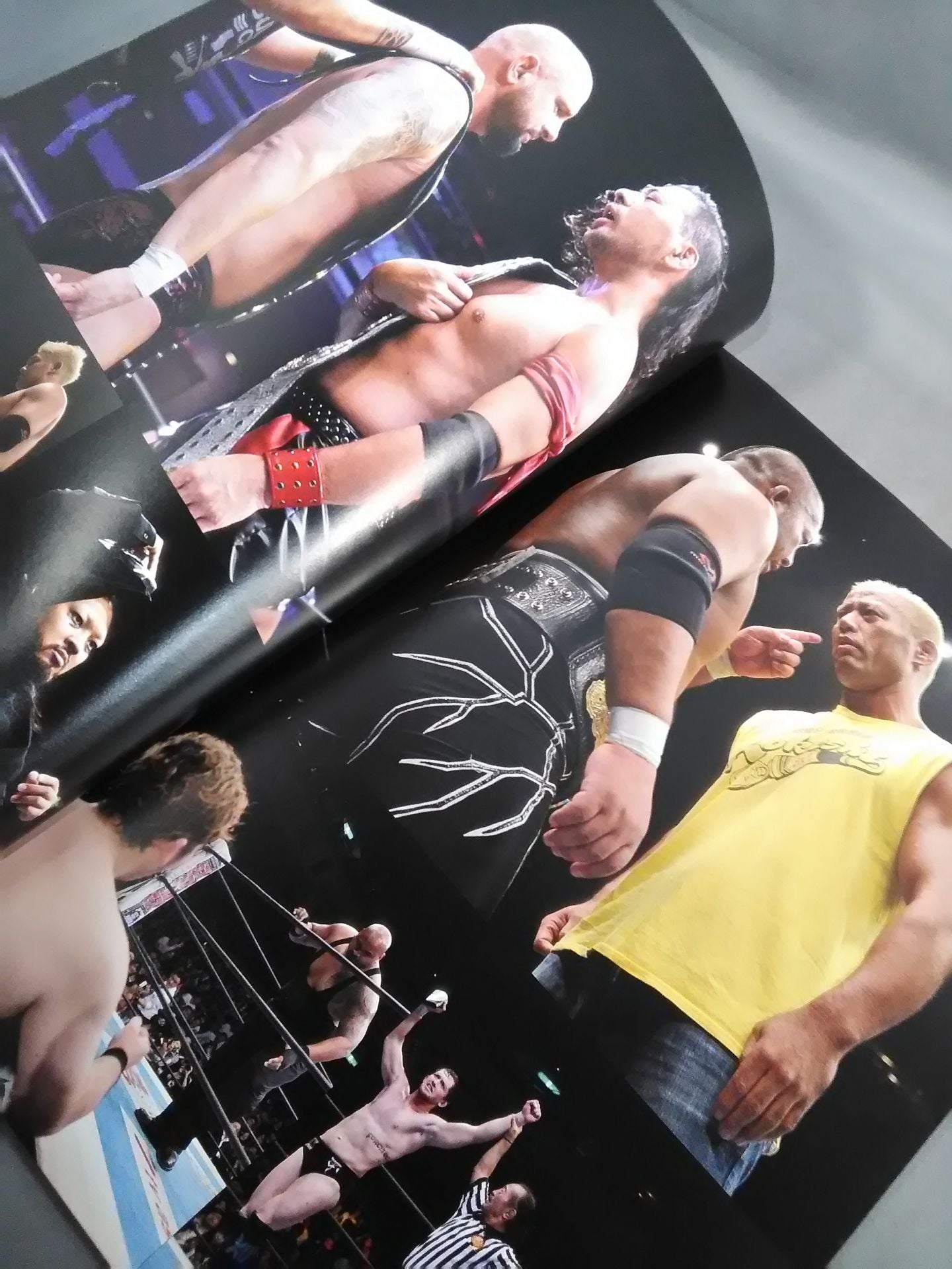 NJPW OFFICIAL MAGAZINE 2015 Vol.7