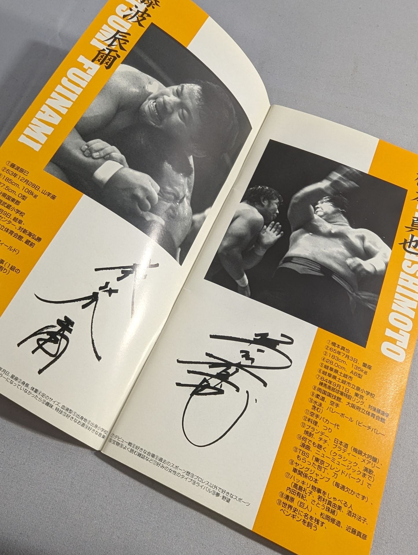 Soul Warrior 1995 New Japan Pro Wrestling fighters directory