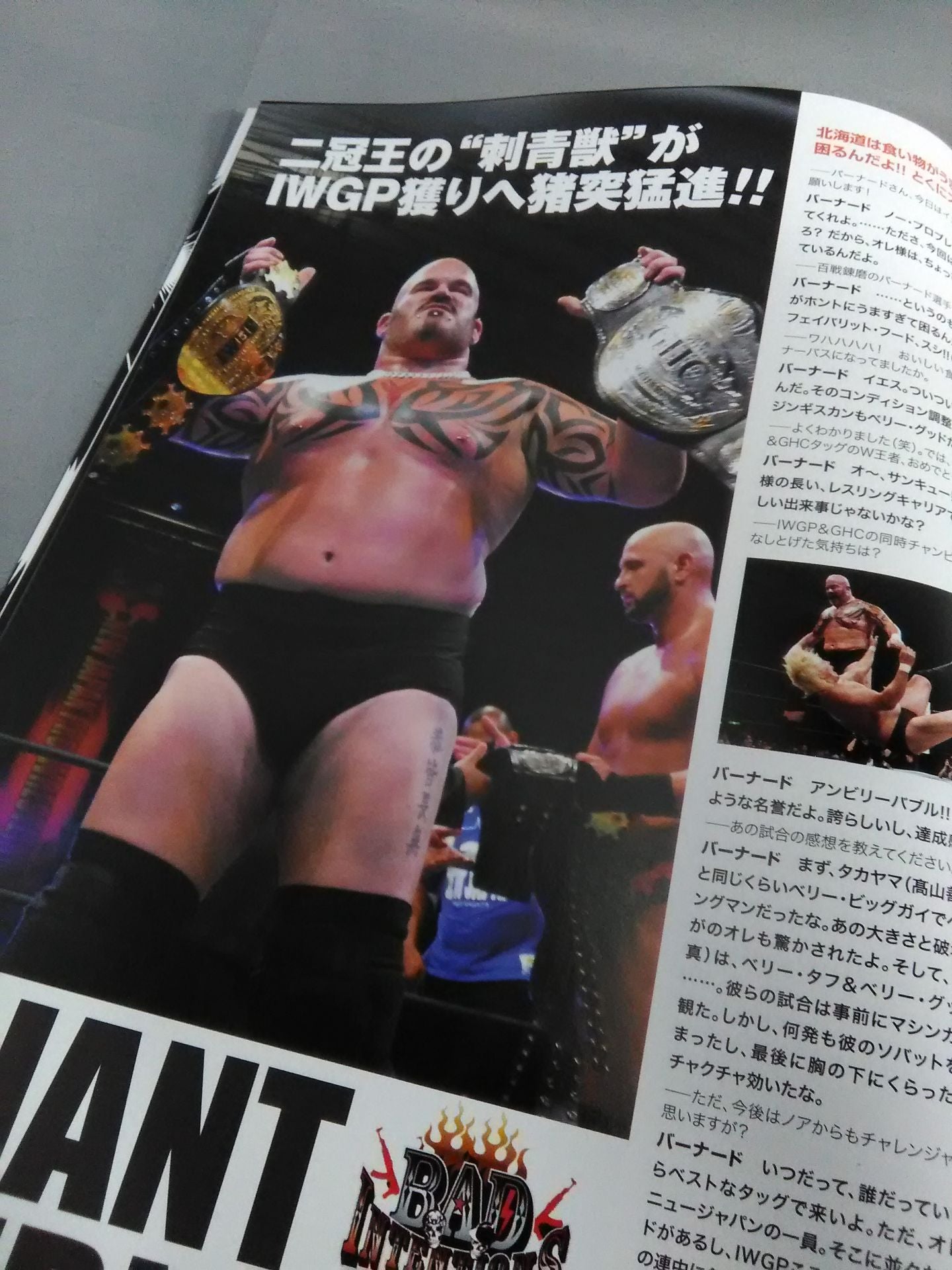 NJPW OFFICIAL MAGAZINE 2011 Vol.5