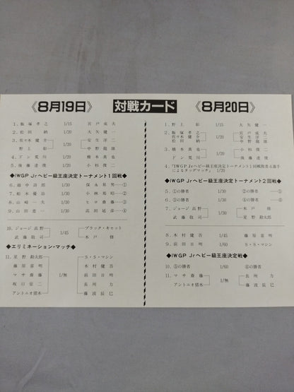 サマー・ナイト・フィーバー・イン国技館