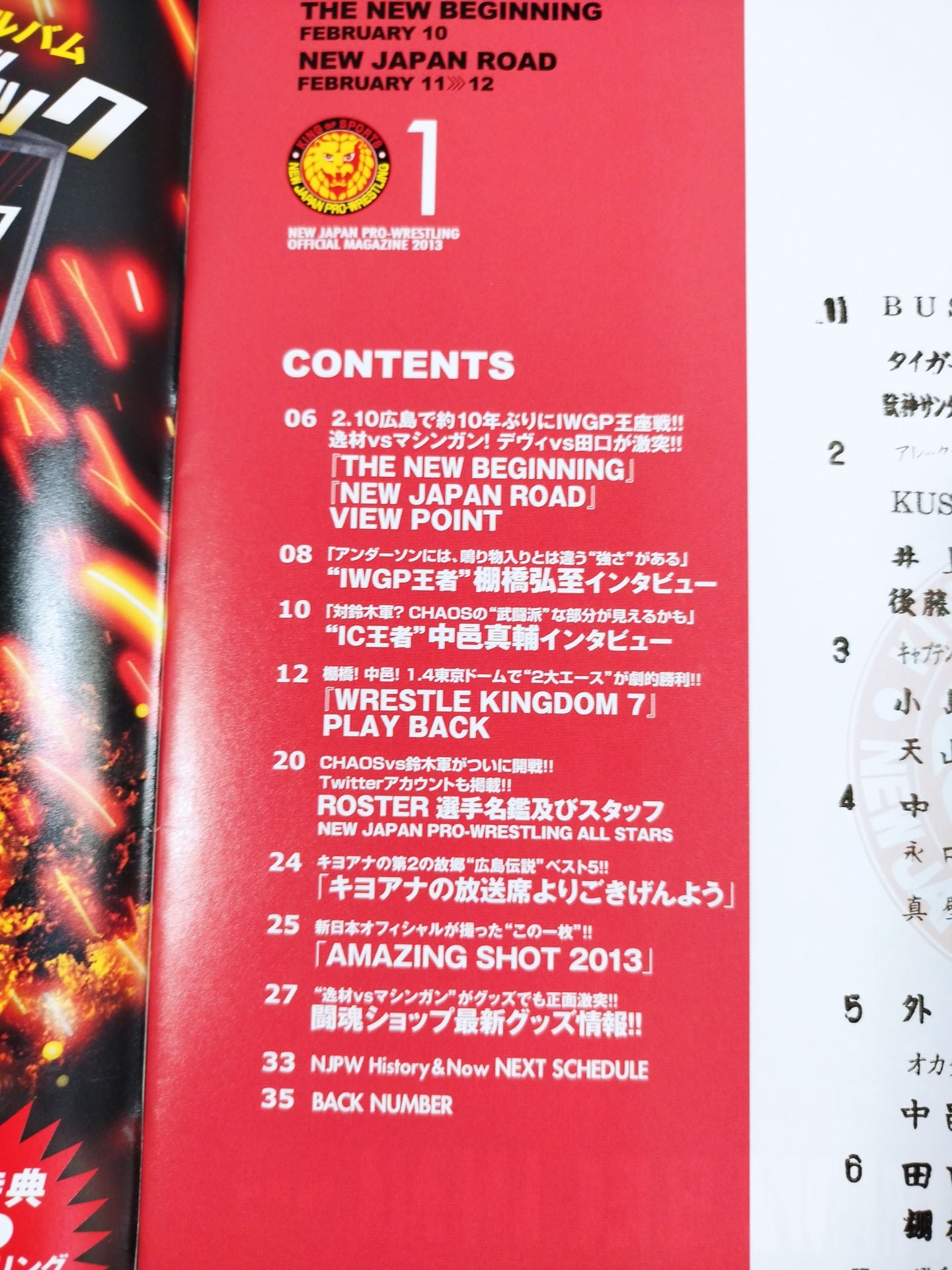 ★ Masato Tanaka vs Tomohiro Ishii NEVER INDISCRIMINATE NJPW ★ OFFICIAL MAGAZINE 2013 Vol.1