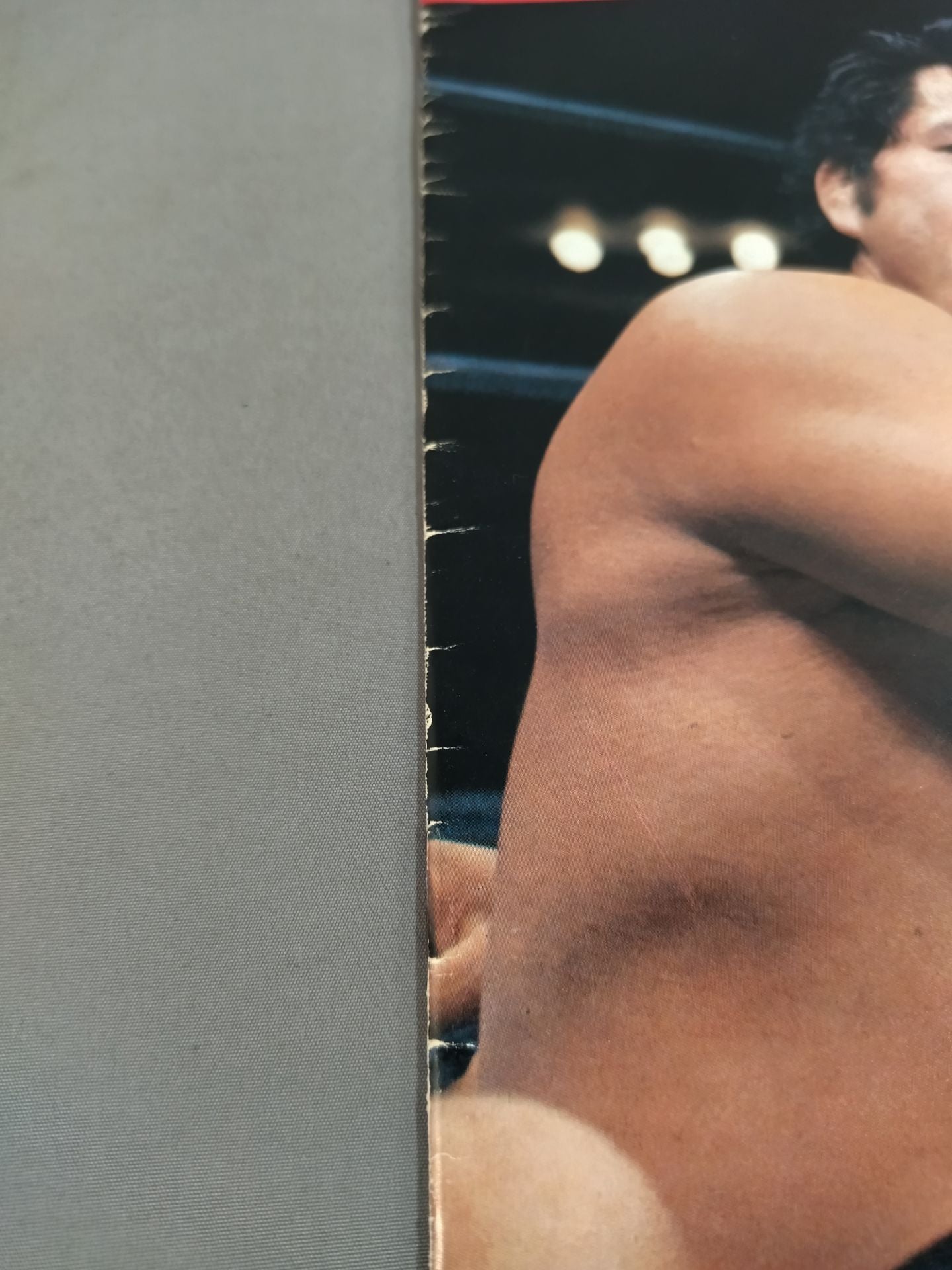 79ブラディファイトシリーズ