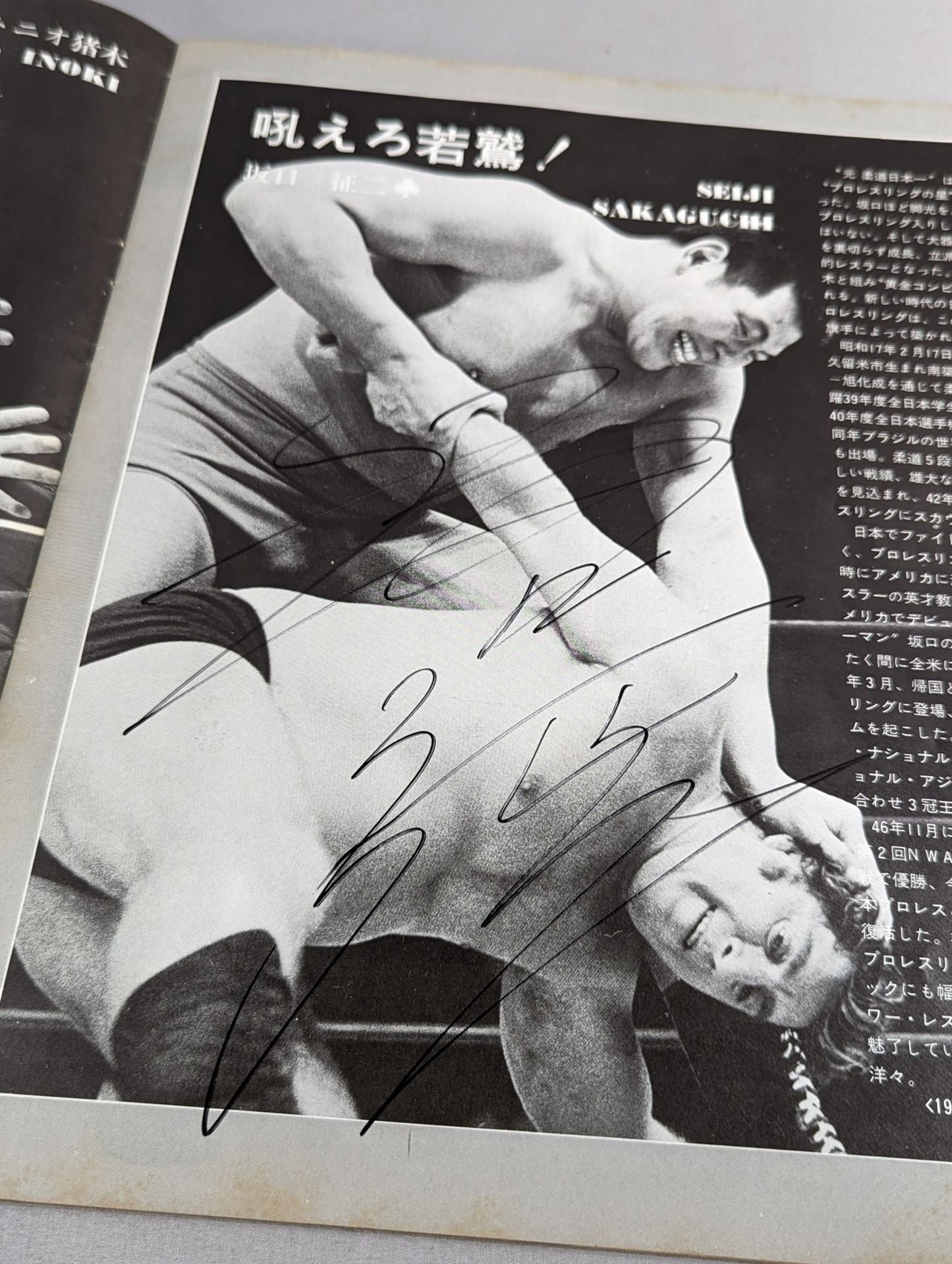 [9 fighters hand signed autograph 74 World League Rounds