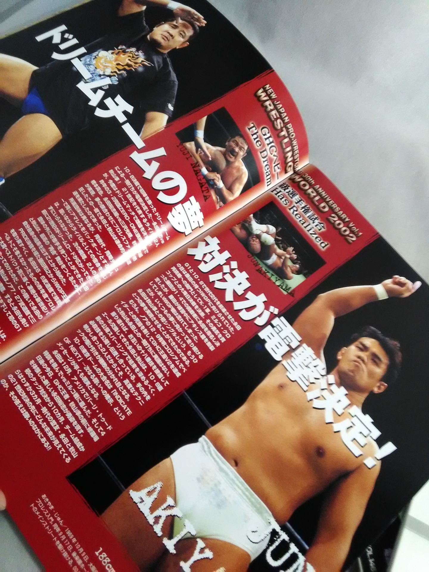 ★ Akiyama vs Nagata GHC ★ Wrestling WORLD 2002