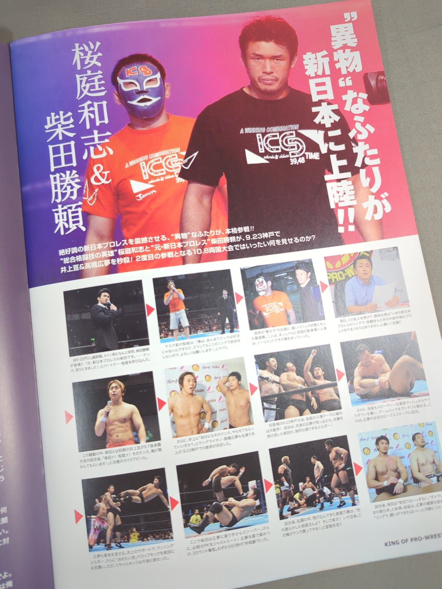 King of Pro-wrestling  2012 / KING OF PRO- Wrestling  2012