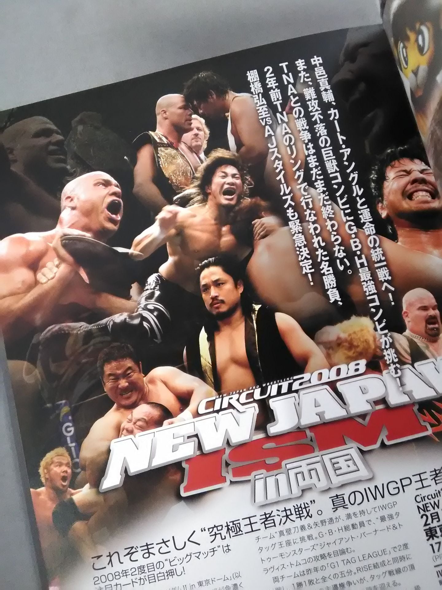NJPW OFFICIAL MAGAZINE 2008 Vol.1