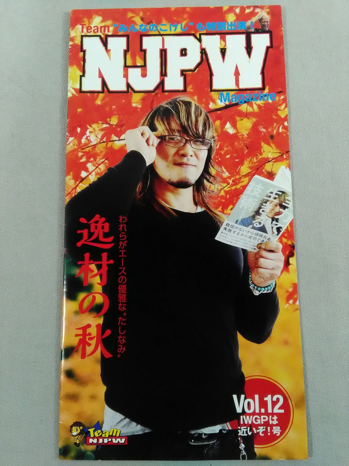 Team NJPW Magazine Vol.12