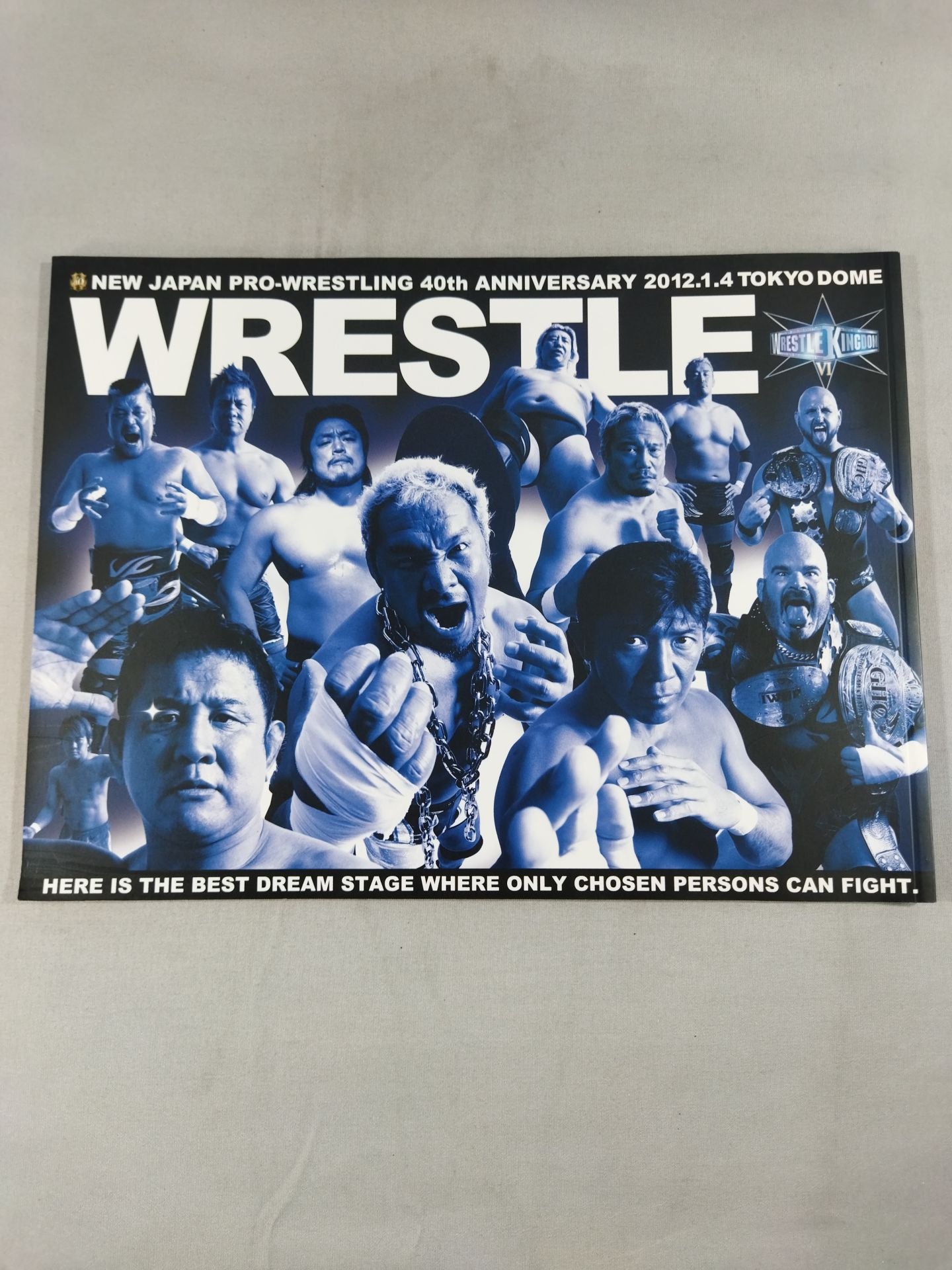 レッスルキングダム6 / WRESTLE KINGDOM Ⅵ