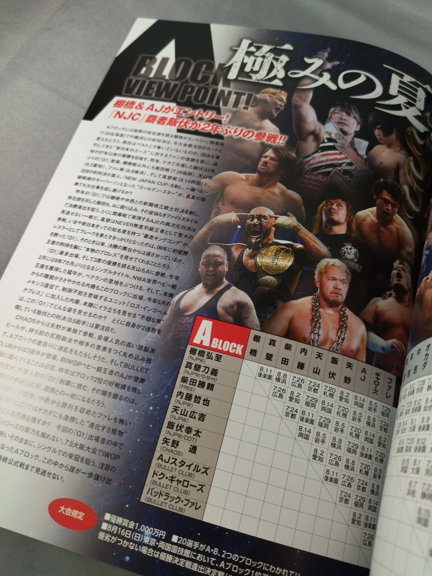 G1 CLIMAX 25 / G1クライマックス25