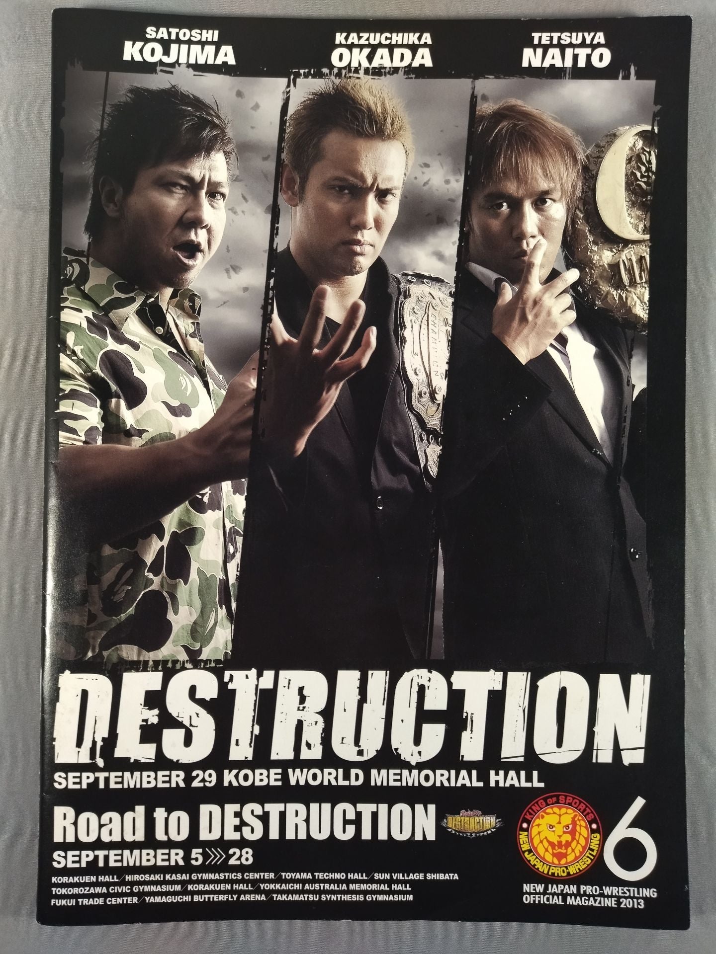 NJPW OFFICIAL MAGAZINE 2013 Vol.6