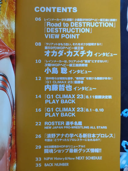 NJPW OFFICIAL MAGAZINE 2013 Vol.6