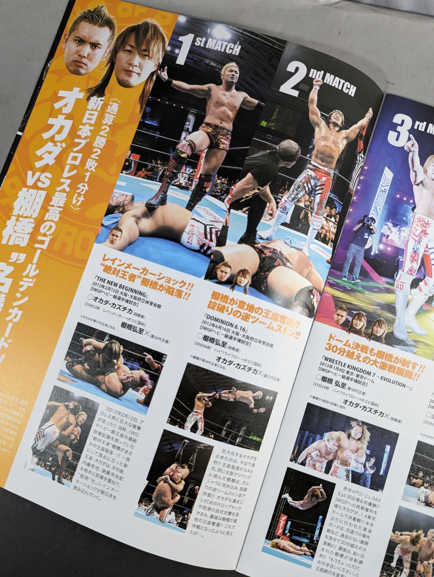 King of Pro - Wrestling  2013