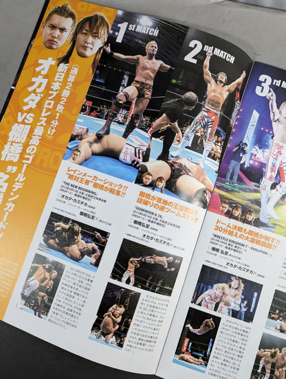 King of Pro - Wrestling  2013