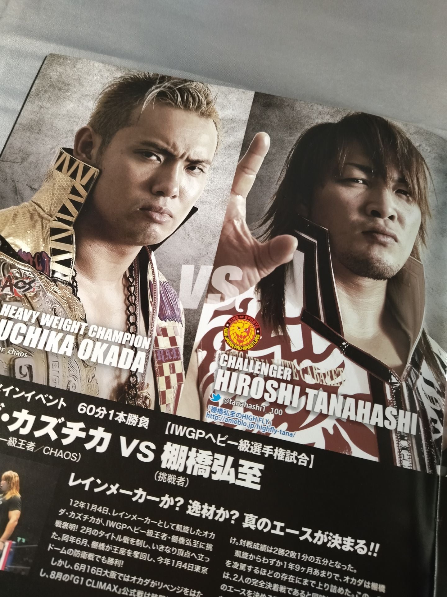 King of Pro - Wrestling  2013