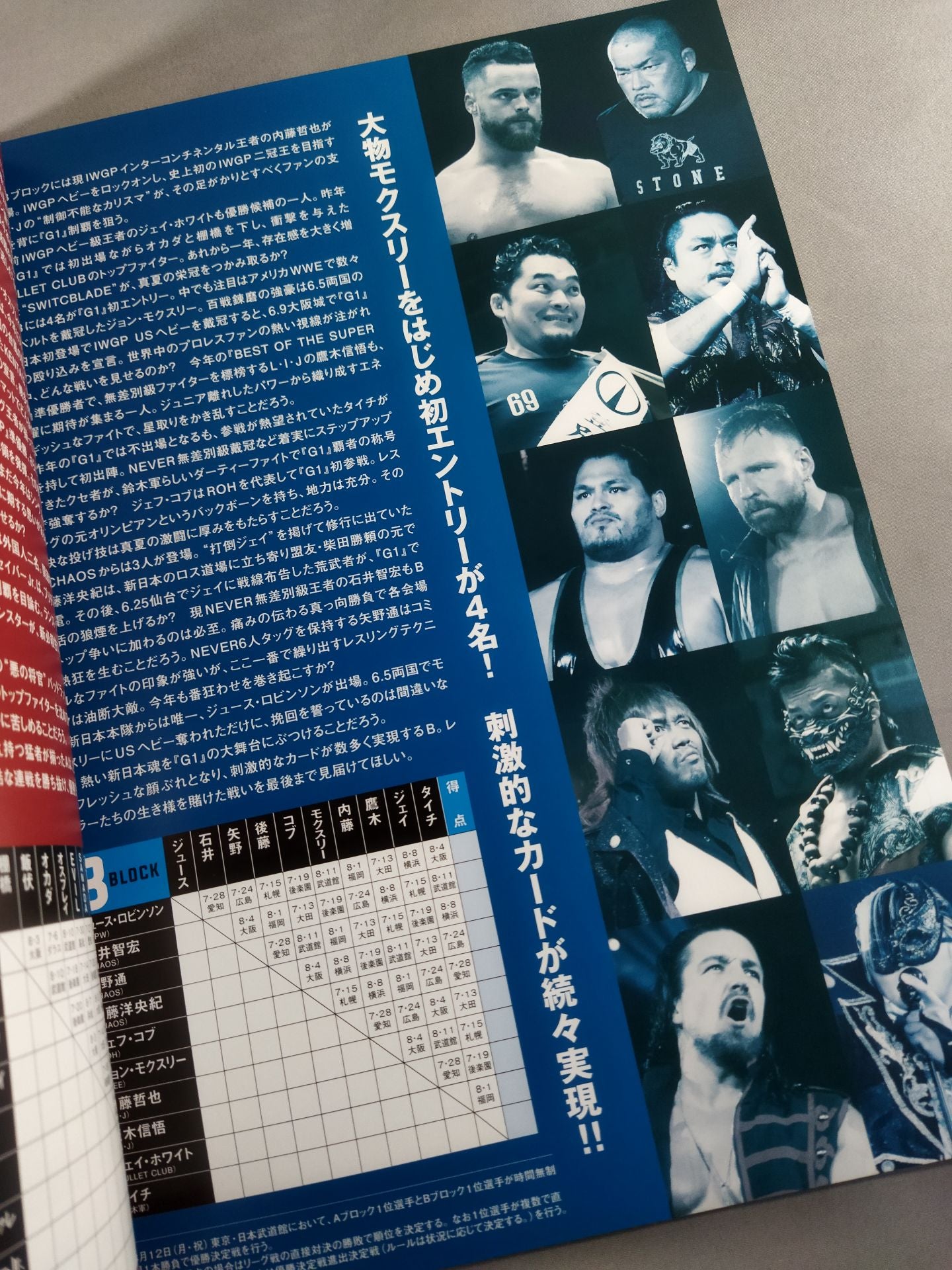 G1 CLIMAX 29 / G1クライマックス29