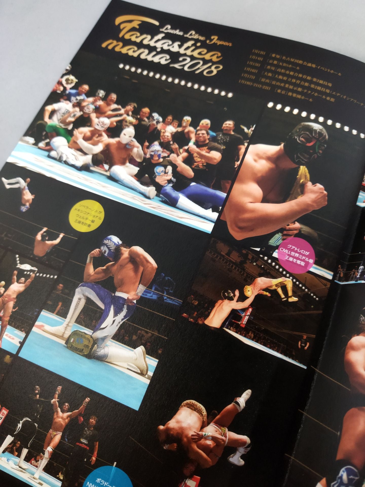 ファンタスティカマニア2019 / FANTASTICAMANIA 2019