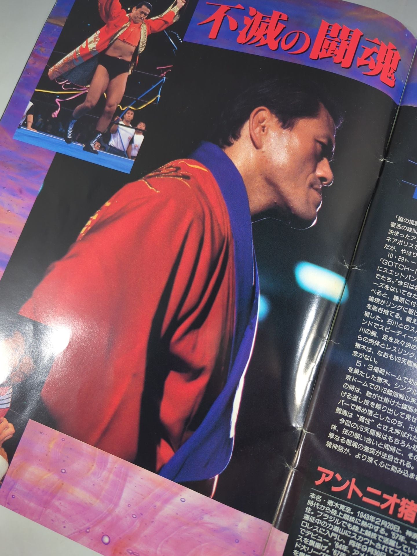 ★猪木vs天龍★ 94BATTLE FIELD in 闘強導夢