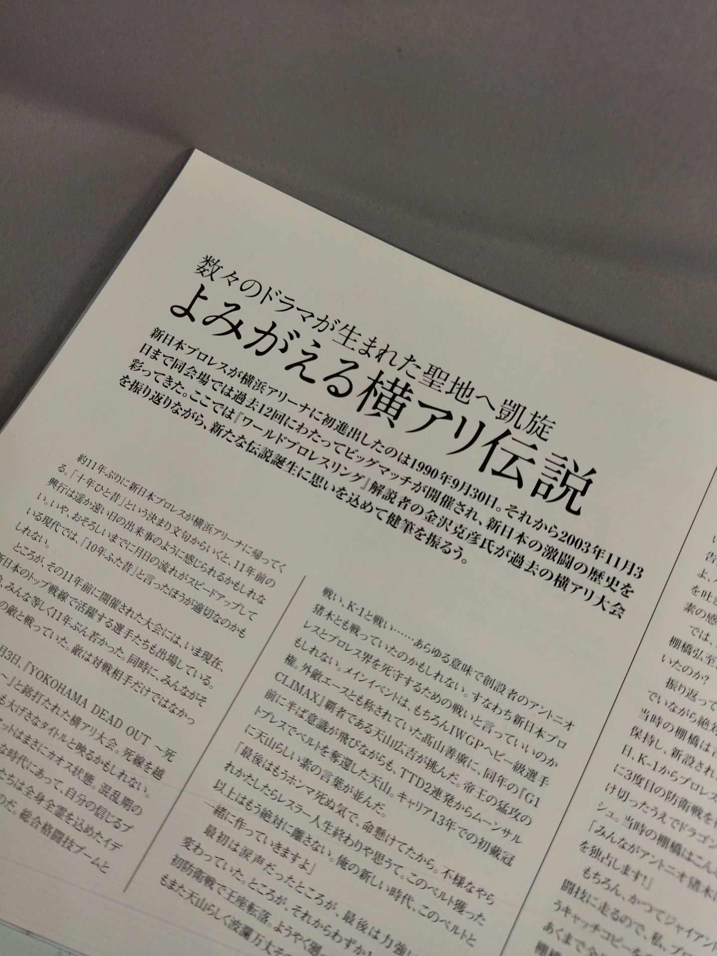 ★11年の横ant ★ BACK TO THE YOKOHAMA ARENA 2014