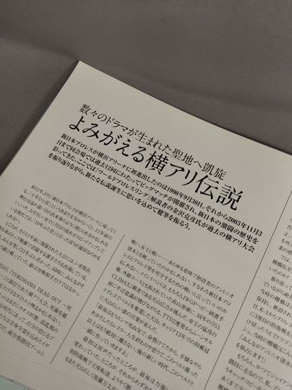 ★11年の横ant ★ BACK TO THE YOKOHAMA ARENA 2014