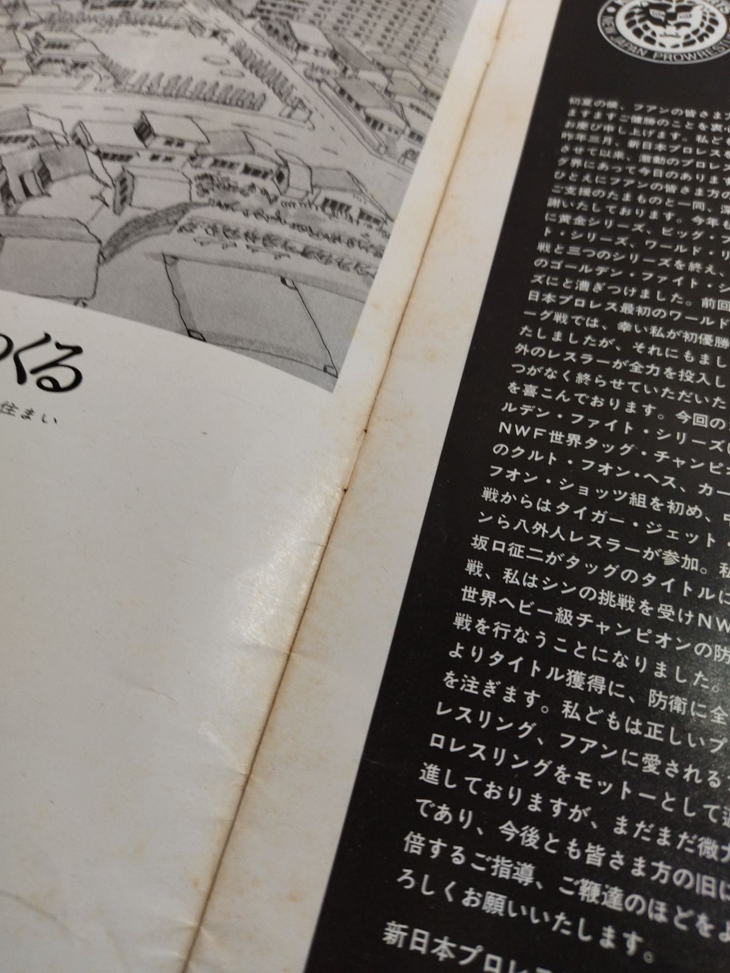 ★ Inoki vs Shin First NWF Match ★ 74 Golden Fight Series