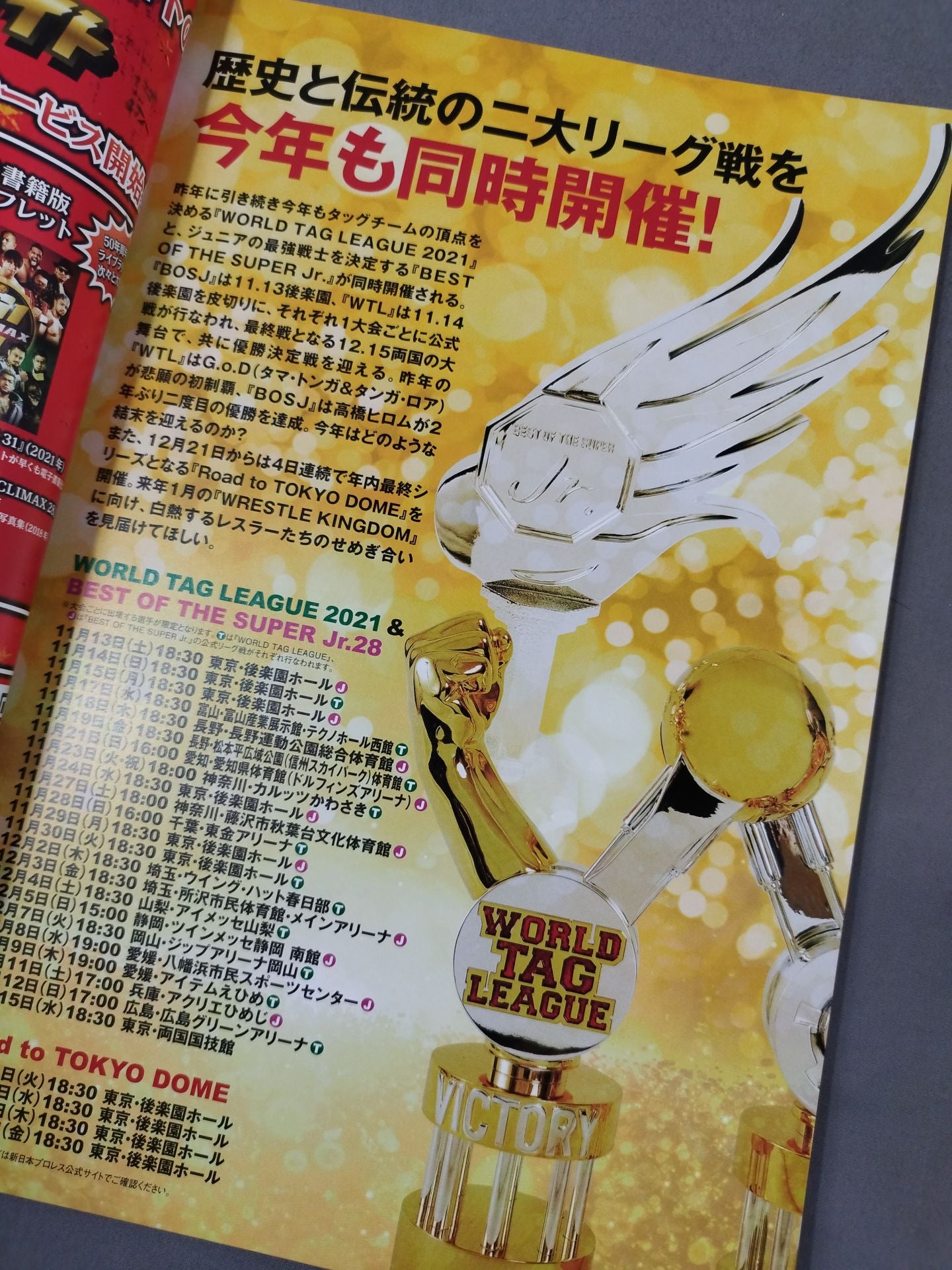 NJPW OFFICIAL MAGAZINE 2021 No.11