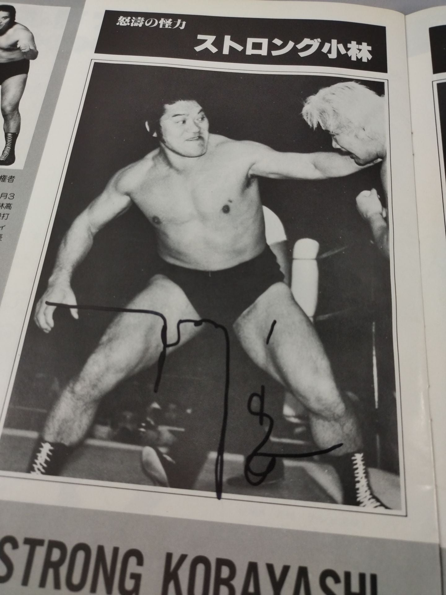 [3 fighters hand signed autograph 81 New Year Golden Series