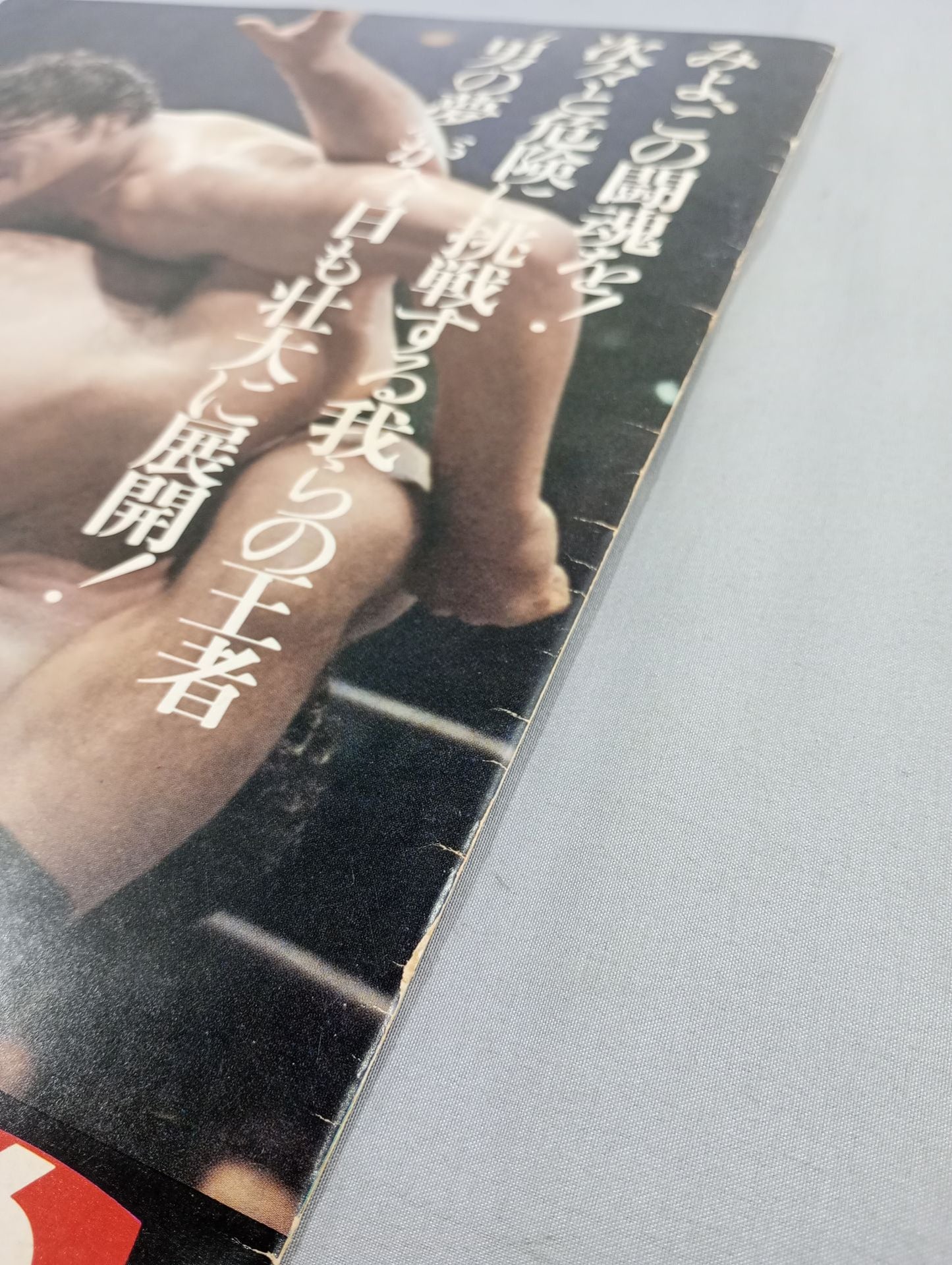 79ビッグファイトシリーズ