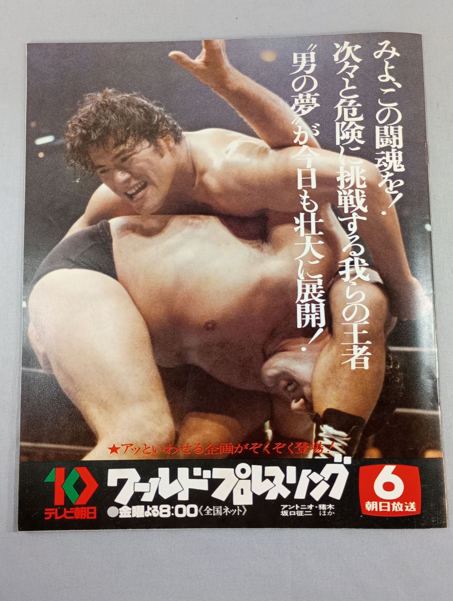 79ビッグファイトシリーズ – 闘道館