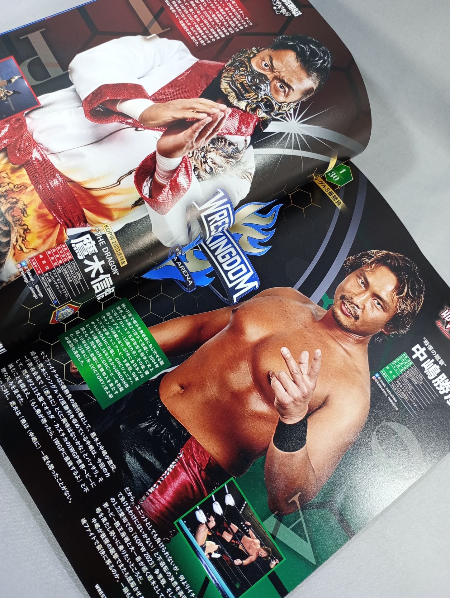 ★L.I.J.V. Kongo ★ Wrestle Kingdom 17 in Yokohama Arena