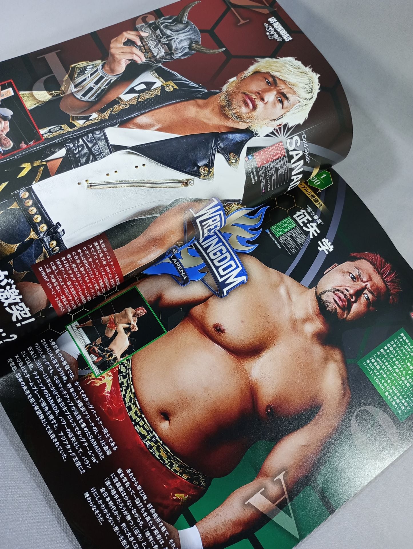 ★L.I.J.V. Kongo ★ Wrestle Kingdom 17 in Yokohama Arena