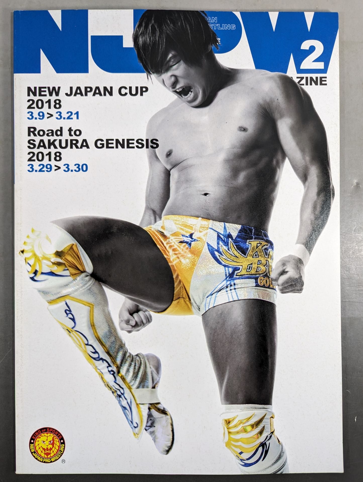 NJPW OFFICIAL MAGAZINE 2018 Vol.2