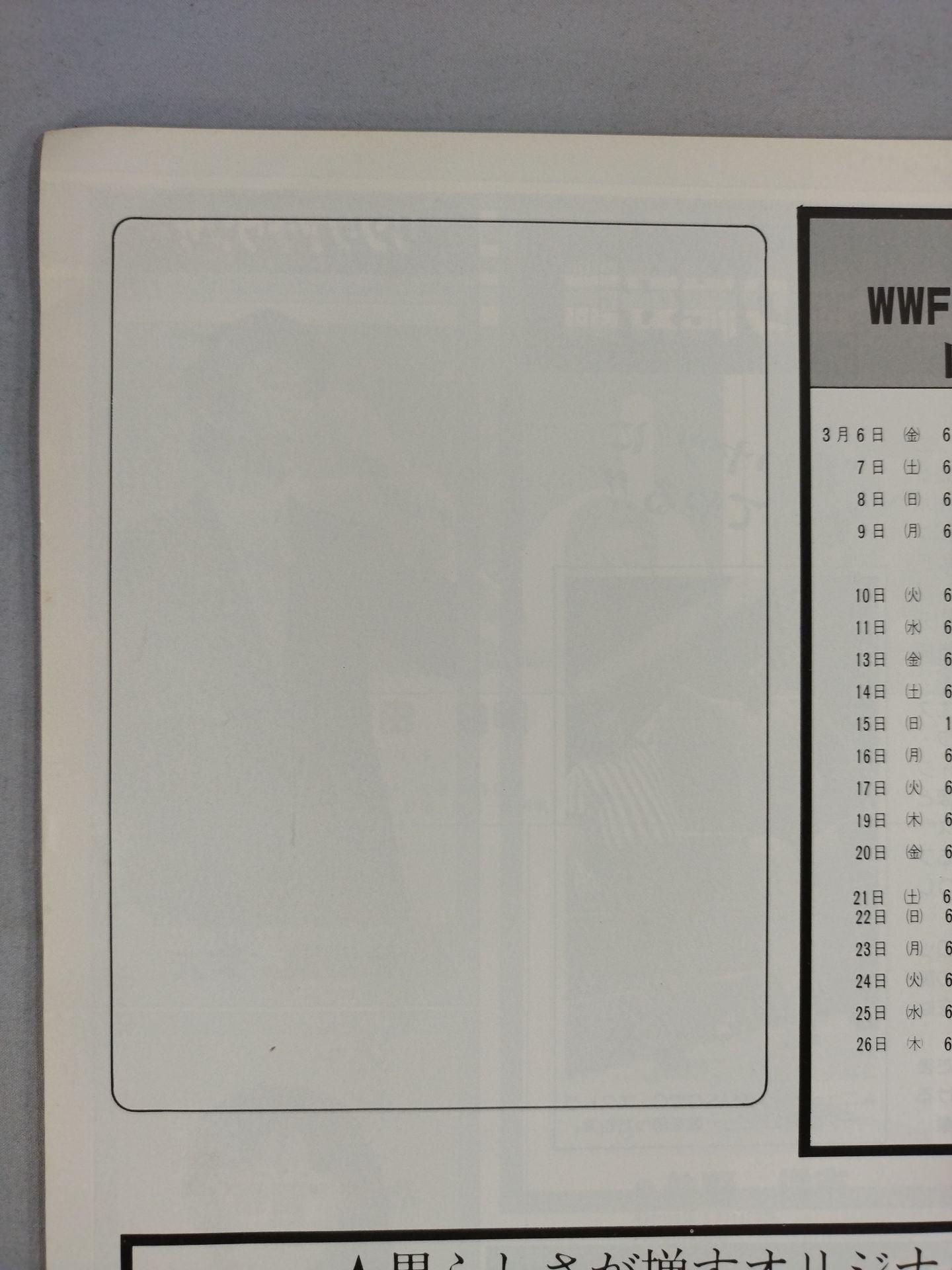 81WWFビッグ・ファイト・シリーズ