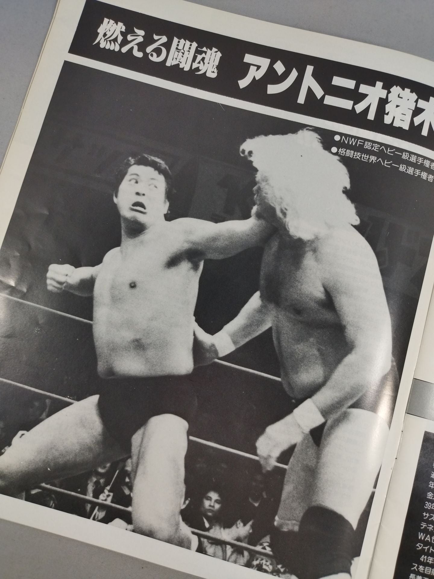 81WWFビッグ・ファイト・シリーズ