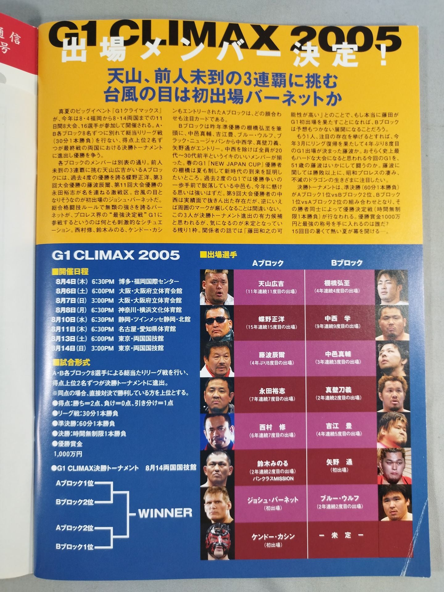 SUMMER FIGHT SERIES 2005