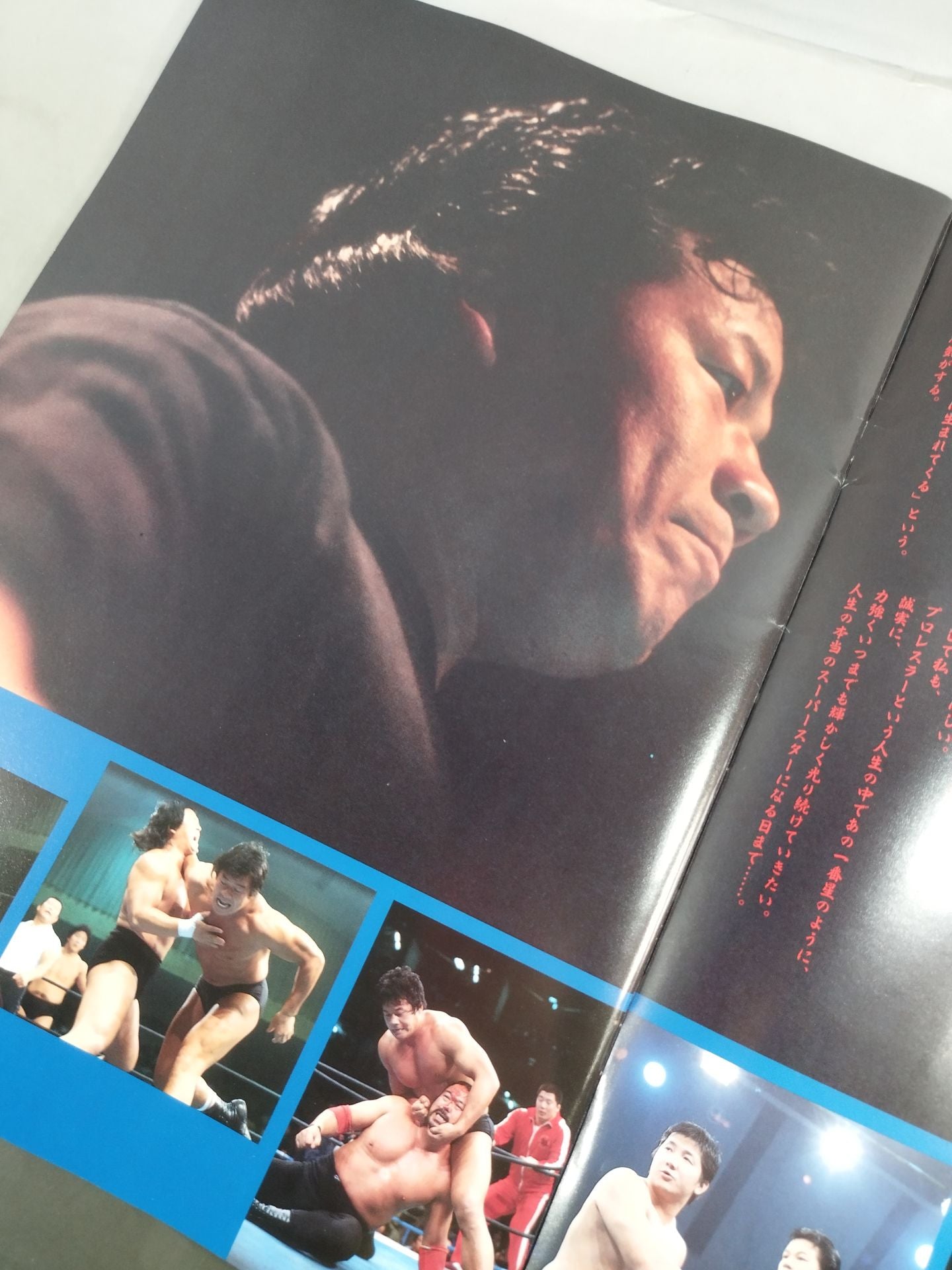 THE LEGEND OF DRAGON Tatsumi Fujinami  20th Anniversary Series