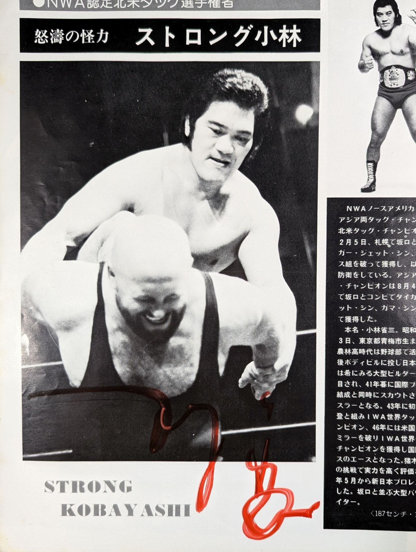 [3 fighters hand signed autograph 76 Fighting Spirits Series Vol. 2