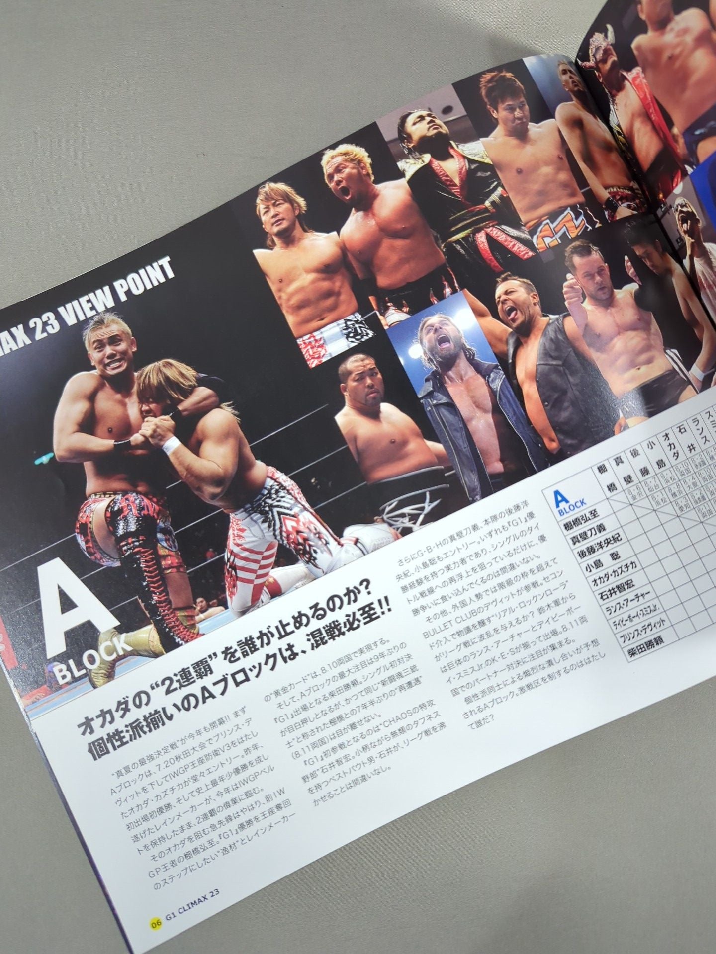 G1 CLIMAX 23 / G1クライマックス23