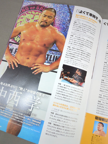 キング・オブ・プロレスリング2012 / KING OF PRO-WRESTLING 2012
